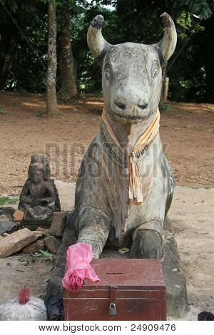 Корова в Пном Bakheng