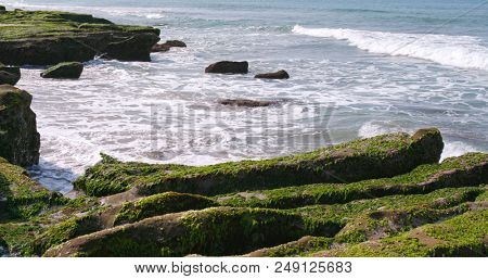 Beautiful Laomei Green Reef