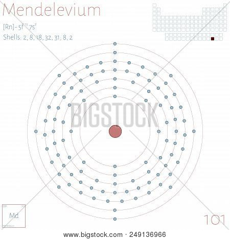 Large And Colorful Infographic On The Element Of Mendelevium.