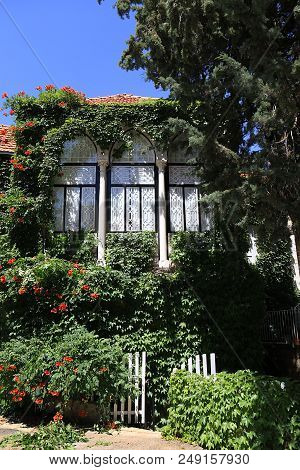 A Traditional Lebanese House Covered With Lush Green Foliage.