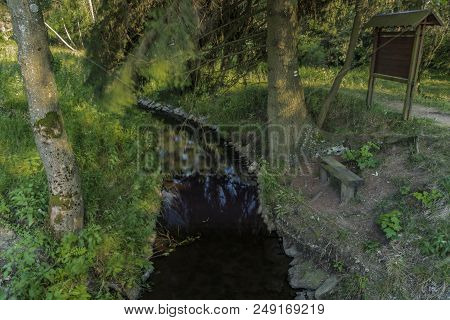 Dlouha Stoka Creek In Forest In Slavkovsky Les National Park