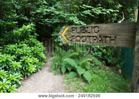 Wooden Fingerpost Public Footpath Sign Pointing Towards A Path That Goes Off Into A Wood, In West Su