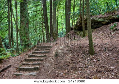Alte steinerne Treppe im Wald