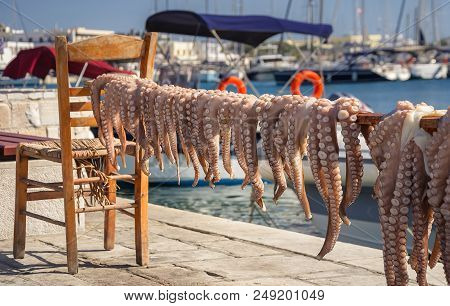 Traditional Greek Sea Food, Octopus, Drying In The Sun, Naxos Island, Cyclades, Greece
