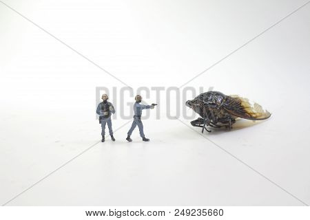 A Tiny Police Face On The Monster Cicadidae