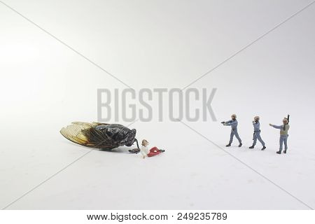 A Tiny Police Face On The Monster Cicadidae