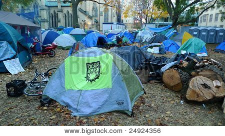 Occupano di Toronto al St James Park