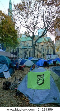 Occupano di Toronto al St James Park