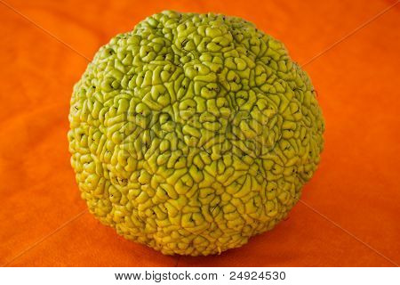 Fruta verde redondo