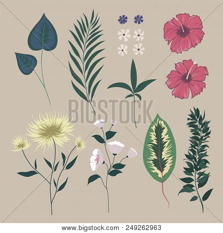 Vector Set With Wild Meadow Flowers. Isolated Collection