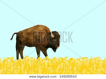Low Poly Bison On Dry Grass Field With Blue Back Ground,animal Geometric,vector.
