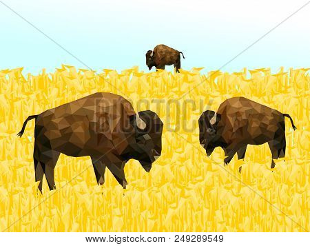Low Poly Bison On Dry Grass Field With Blue Back Ground,animal Geometric,vector.