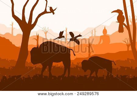 Low Poly Asian Nature Vector,cow In The Grass Field With Hornbill And Bird On Sunset Background,silh