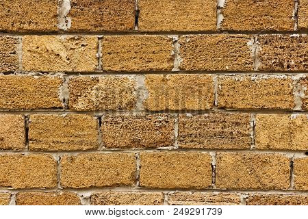 Brick From Shells Texture Background , Wall Is Made Of Shells Brick