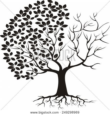 Silhouette Of Half Dry Tree Half Lush Hand Drawn Illustration
