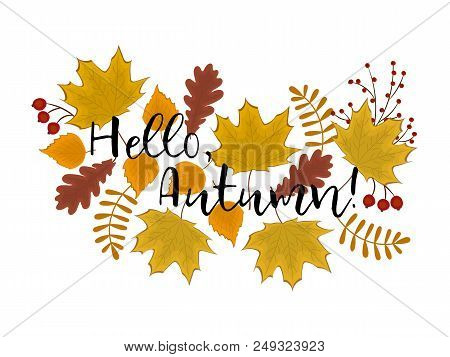 Hello Autumn Concept. Autumn Background. There Are Leaves Of Maple, Oak, Birch And Other Trees In Th