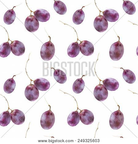 Modern Watercolor Botanical Illustration. Pinot Noir-grigio Grape Berries. Seamless Pattern, White B