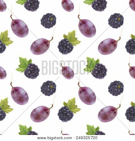 Modern Watercolor Botanical Illustration. Blackberry  And Grape . Seamless Pattern, White Backdrop, 