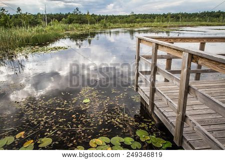 Lake With Some Nenufar Leaves On A Summer Day