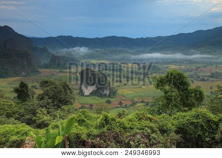 Rock Mountain Protruding From Rice Field. Morning Fog On Sunrise In The Phulanka, Phayao Thailand.