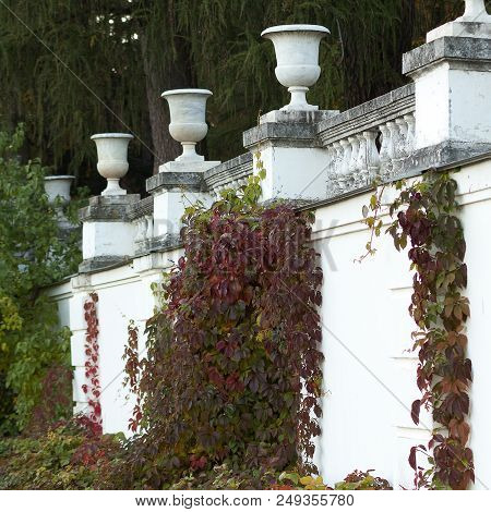 Autumn Hops On The Balustrade In Manor Park