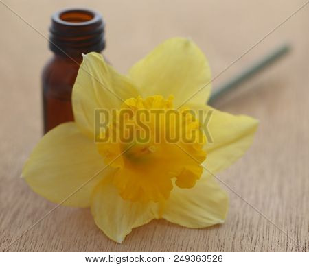 Flower Daffodil With Essential Oil In A Jar On Wooden Surface