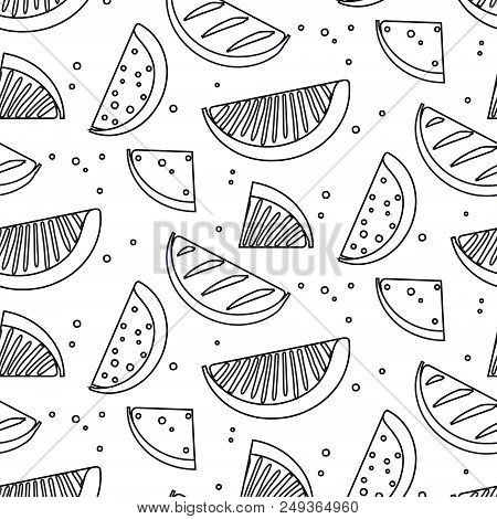 Watermelon Summre Fruit Black White Concept. Fern Botanical Scandinavian Sketch Pattern. Retro Line 