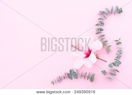 Wellness Background With Hibiscus Flower And Eucaliptus Twigs On Pink