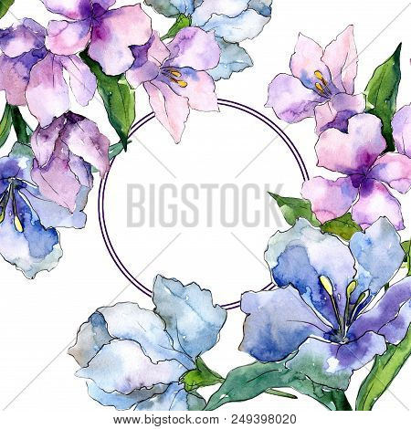 Purple And Blue Alstroemeria Flowers. Floral Botanical Flower. Frame Border Ornament Square. Aquarel