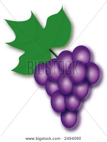 Grape.Eps