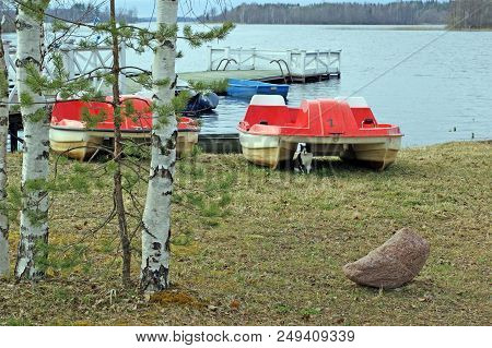 Pier, Pontoon On The Waterside Of The Lake Seliger With Catamarans And Boats With Forest On The Back