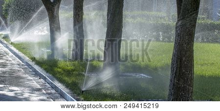 Automatic Sprinkler System Watering The Lawn On A Background Of Green Grass, Close-up