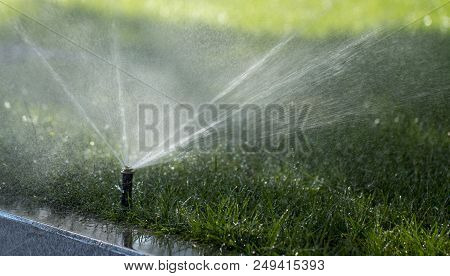 Automatic Sprinkler System Watering The Lawn On A Background Of Green Grass, Close-up