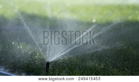 Automatic Sprinkler System Watering The Lawn On A Background Of Green Grass, Close-up