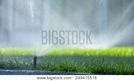 Automatic Sprinkler System Watering The Lawn On A Background Of Green Grass, Close-up
