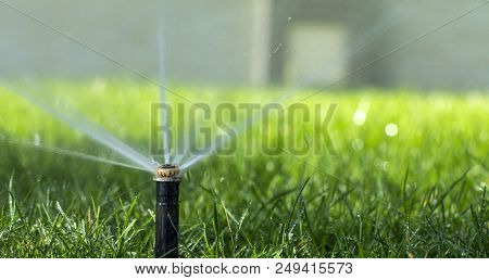 Automatic Sprinkler System Watering The Lawn On A Background Of Green Grass, Close-up