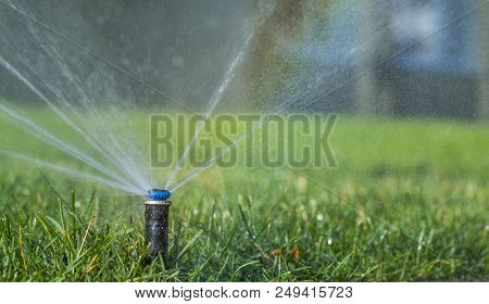 Automatic Sprinkler System Watering The Lawn On A Background Of Green Grass, Close-up