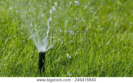 Automatic Sprinkler System Watering The Lawn On A Background Of Green Grass, Close-up