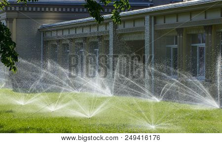 Automatic Sprinkler System Watering The Lawn On A Background Of Green Grass, Close-up