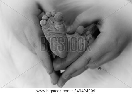 The First Photo Shoot Of A Beautiful Newborn Girl