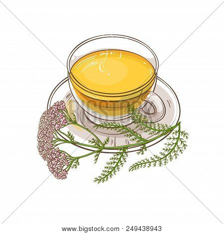 Cup Of Yarrow Tea Illustration On White Background