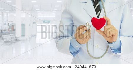 Heart Health Care. Doctor Holding Stethoscope Test Heart Medical With Copy Space Ward Hospital Backg