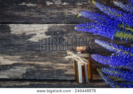 Veronica Longifolia Flower Essential Oil. Naturopathy. Herbal Medicine.
