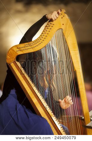 Woman With An Arp During A Concert