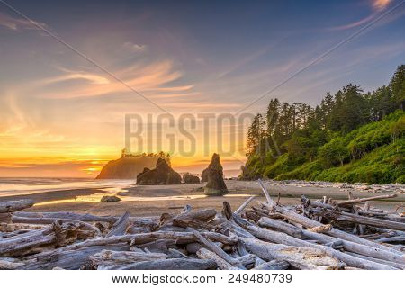 Olympic National Park, Washington, USA at Ruby Beach with piles of deadwood.