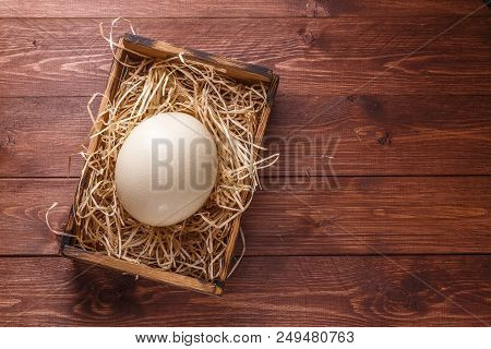 Ostrich Egg On Straw In Wooden Box, Copyspace, Dark Background.