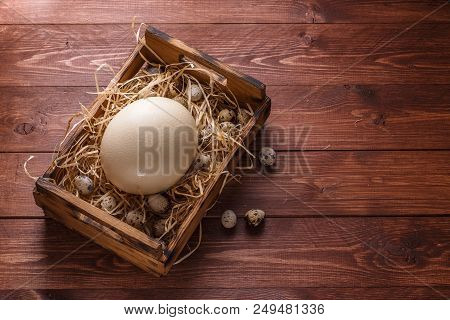 Big Ostrich Egg On Straw Surround By Quail Eggs, Copyspace.