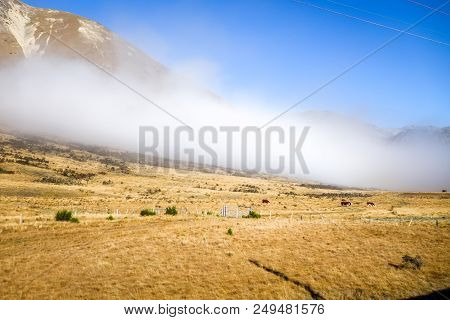 Mountain Fields Landscape In New Zealand Alps