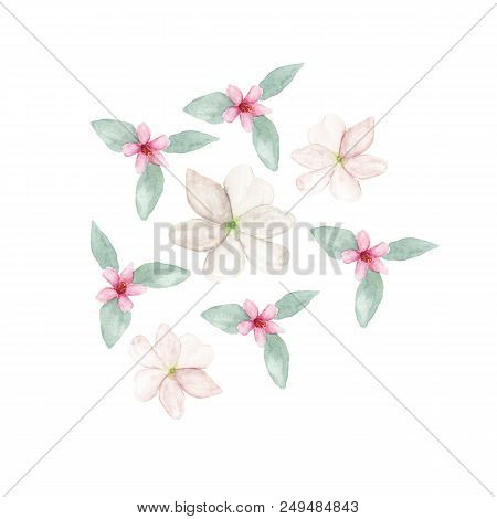 Watercolor Orange Neroli Blossom Flowers Isolated On White Background. Hand Drawn Botanical Illustra