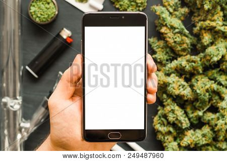 Grinder A Lot Ofx Marijuana, Fresh Buds Of Cannabis Many Weed. Copy Spase Copy-space